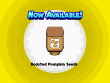 Roasted Pumpkin Seeds (CTG)