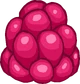 Raspberry