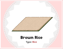 Brown Rice Sushi.png