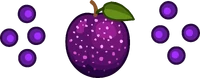 Sushiria Sugarplum Bubbles (Transparent)
