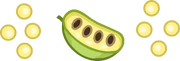 Sushiria Pawpaw Bubbles (Transparent)