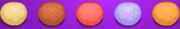 20200222 095447.jpg
