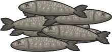 Anchovies (CTG).png