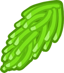 Spruce Tips PPHD