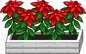 Furni christmas poinsettia