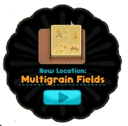 Multigrain.png (96 KB)