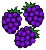 Blackberries (Papa's Freezeria HD)