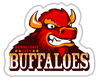 Starlight City Buffaloes Sticker