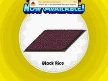 Black Rice S.jpg
