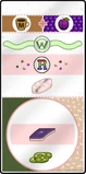 Sushiria littleedoardo H.png (298 KB) Little Edoardo's order during New Year in Papa's Sushiria