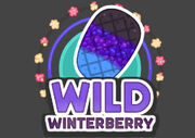 Wildwinterberryicon