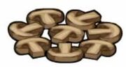Mushrooms .jpg