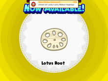 LotusRoot