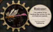 Rare Mimics: Windrunner