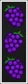Poster blackberryremoulade