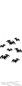 Furni halloween bats