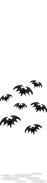 Hanging Bats