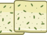 Havarti Cheese