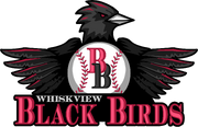 Whiskview Black Birds - Logo