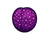 Sugarplum.png