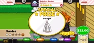 Special prize