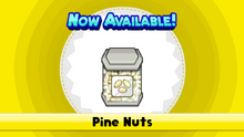 Pine Nuts TMTG