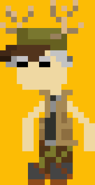 Pixel Chester