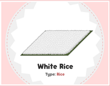 White Rice Sushi