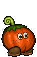 Roma Tomato