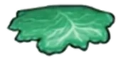 Lettuce (Burgeria)