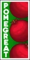 Poster pomegranate