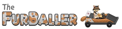 Logo cjfriskins