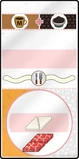 Sushiria timm.png (246 KB) Timm's regular order in Papa's Sushiria