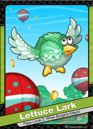 115-Lettuce Lark