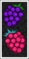 Poster raspberries v2