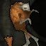 Running Stiltskin Flipline Forum profile picture