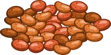 Baked Beans