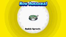 Radish Sprouts (HHD).png