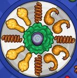 Perri's regular order in Papa's Wingeria To Go!