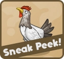 Sneakpeek chicken