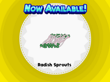 Radish Sprouts.png