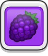 Blackberries FDX button