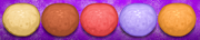 Standard Dough Donuteria.png