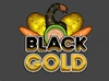 PWTG! Black Gold logo