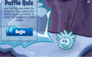 The beginning of the Ice Puffle quiz.