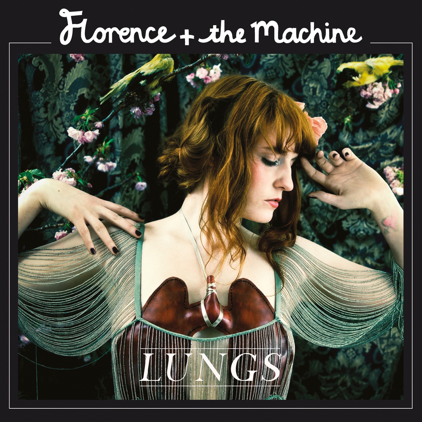 Lungs album Florence the Machine Wiki Fandom