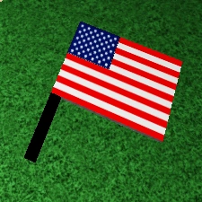 American Flag | Flooded area Wiki | Fandom