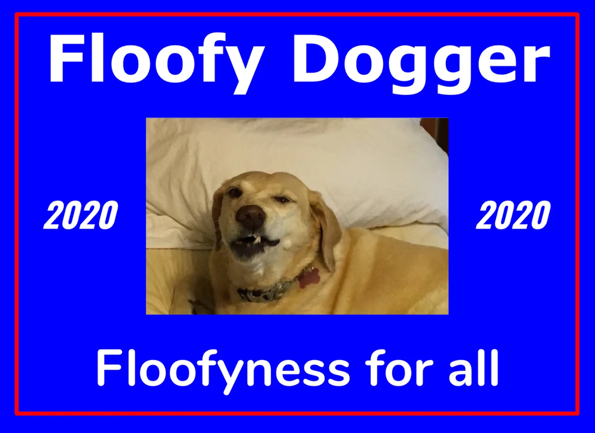 History Of The Floofy Dogger Campaign 2020 Floofy Dogger Wiki Fandom