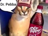 Dr. Pebba