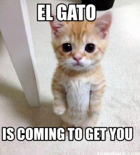 I made an el gato